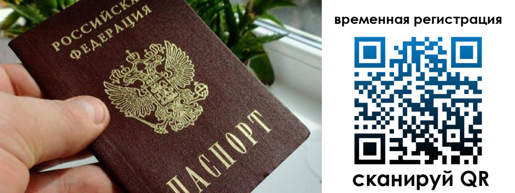 прописка поиск в Киреевске